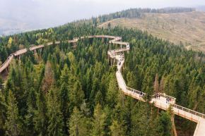 Spacer w koronach drzew z biurem Majer -  -  - Zakopane