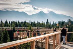 Spacer w koronach drzew i Szczyrbskie Jezioro z biurem Oto Tatry -  -  - Zakopane