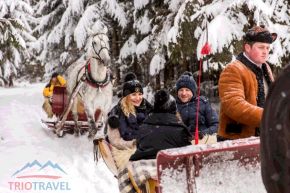 Kulig Dolina Chochołowska -  -  - Zakopane