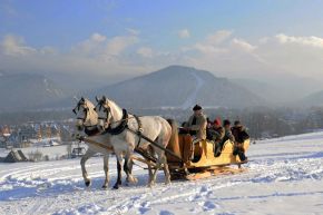 Kuligi w Zakopanem - Tarant  -  -  - Zakopane