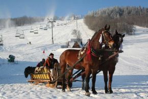 Kulig w Zakopanem -  -  - Zakopane