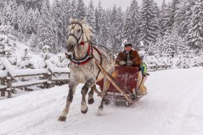 Kulig zimowy z biurem Trio Travel -  -  - Zakopane