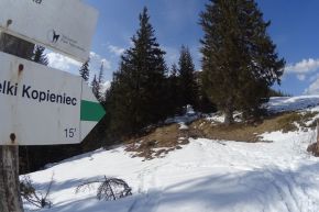 Trasa skitourowa z Toporowej Cyrhli przez Wielki Kopieniec na Nosalową Przełęcz - skitury - skitourowe zakopane - Zakopane