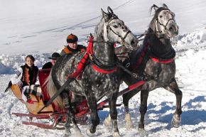 Kulig zimowy Jędruś pod Skocznią -  -  - Zakopane